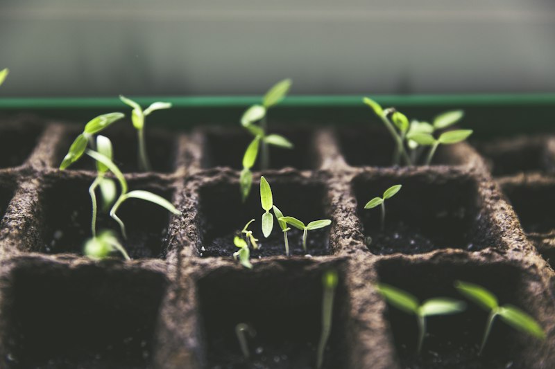 Film agricole serre plastique